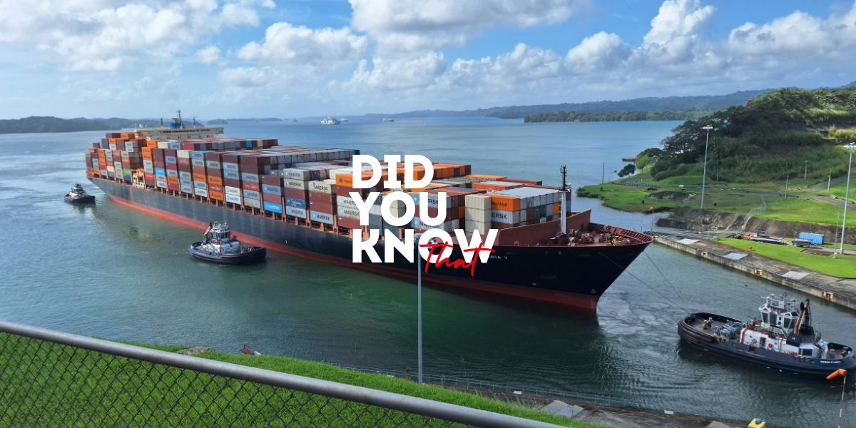 Did You Know That | Week 29-30 | 2026